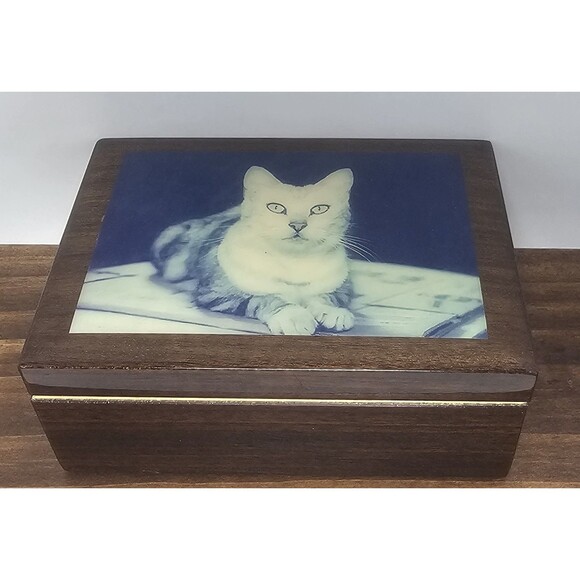 Still Life Tabby Cat Lacquerware Wooden Hinged Trinket Jewelry Box Lined Italy - Picture 1 of 15